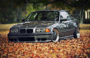 B M W E36 Autumn Leaves Backdrop Wallpaper
