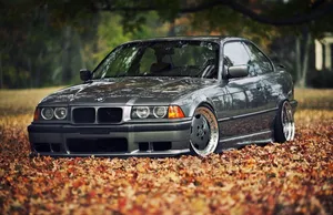 B M W E36 Autumn Leaves Backdrop Wallpaper