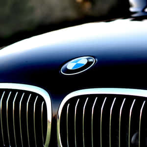 B M W Logoon Car Grille Wallpaper