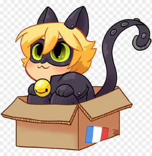 Baby Adrien Agreste Cute Cat Noir Wallpaper