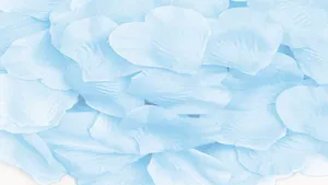 Baby Blue Heart Leaves Wallpaper