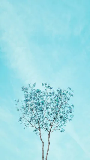 Baby Blue Mini Tree Wallpaper