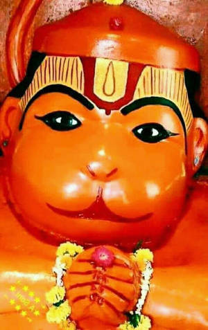 Baby Hanuman Close Up Wallpaper