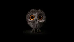 Baby Owl In The Dark Wallpaper