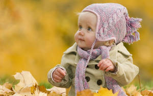 Baby Photography With Pile Of Leaves Wallpaper