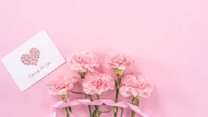 Baby Pink Carnation Flowers With Card Wallpaper