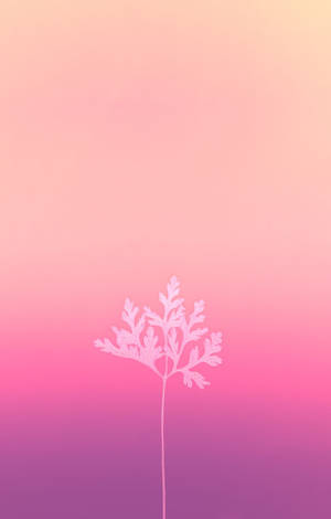 Baby Pink Leaf On Gradient Wallpaper
