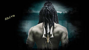 Back Of Lord Shiva Hd Wallpaper