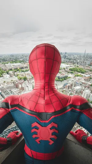 Back View Spider Man Iphone Wallpaper