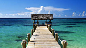 Bahamas Bridge In The Ocean Wallpaper