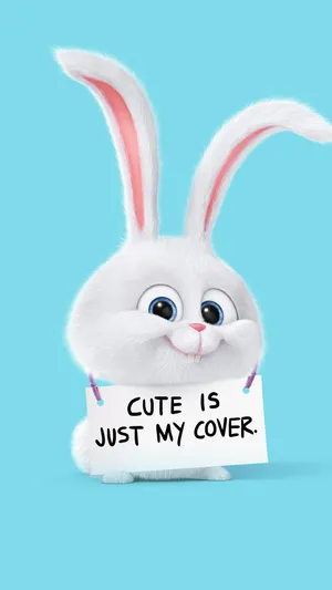 Balanced In A Perfect Harmony Wallpaper