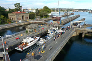 Ballard_ Locks_ Maritime_ Activity Wallpaper