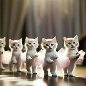 Ballet Kittens Performance Wallpaper