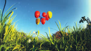 Balloons Over Meadow Sunny Sky Wallpaper