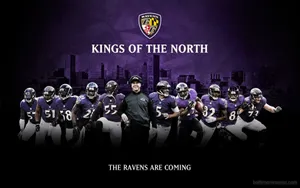 Baltimore Ravens Kings Of The North Wallpaper