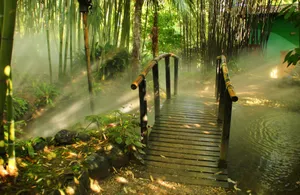 Bamboo 4k Forest Garden With Bridge Wallpaper