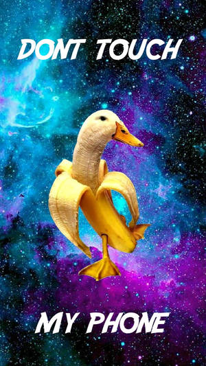 Banana Duck Funny Get Off My Phone Wallpaper