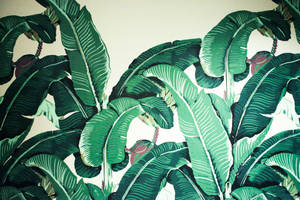 Banana Leaf Graphic Art Wallpaper