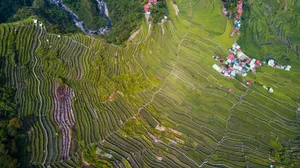 Banaue’s Majestic Terrace: An Aerial Perspective Wallpaper