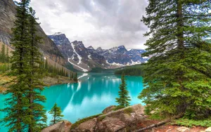 Banff National Park Forest Wallpaper