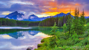 Banff National Park Orange Sky And Reflective River Wallpaper