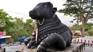 Bangalore Bull Temple Wallpaper