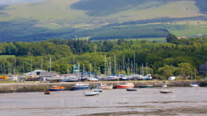 Bangor Marina Boatsand Nature Wallpaper