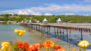 Bangor Pier Sunny Day U K Wallpaper