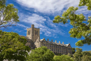 Bangor University Sunny Day Wallpaper