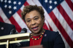 Barbara Lee American Flags Wallpaper