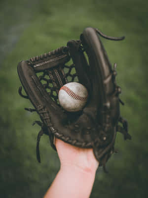 Baseball Glove Close-up Wallpaper