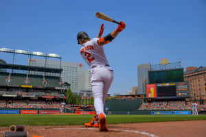 Baseball Player Swinging Bat Stadium Backdrop.jpg Wallpaper