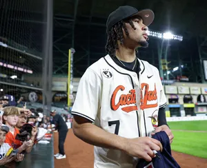 Baseball Stadium Sideline Portrait Wallpaper