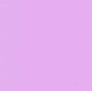 Basic Lavender Purple Color Wallpaper