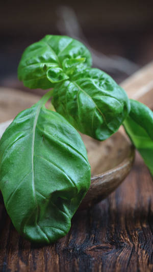 Basil Culinary Herb On Wooden Ladle Wallpaper