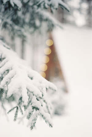 Bask In The Beauty Of Christmas With A Night Of Joyful Snow Wallpaper