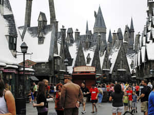 Bask In The Magic At Wizarding World Wallpaper