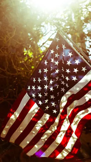 Basking Flag Of America Iphone Wallpaper