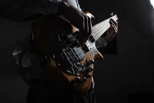 Bass Guitaristin Shadow Wallpaper