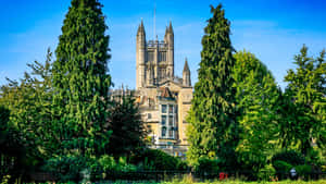 Bath Cathedral Through Greenery Wallpaper