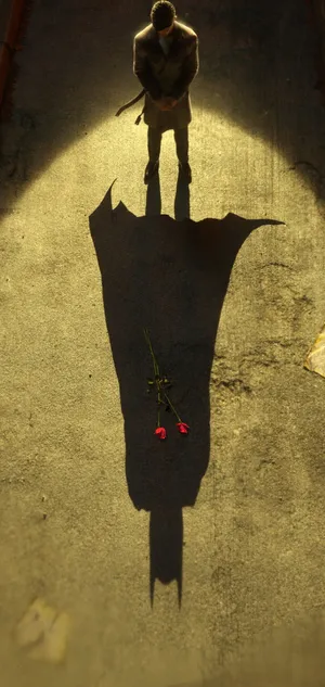 Batman Shadow Middle Punch Hole Wallpaper