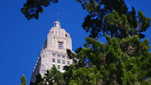 Baton Rouge Historic Building Through Trees Wallpaper