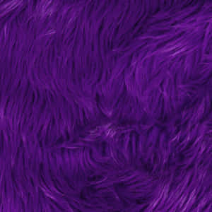 Be Bold In Soft Lavender This Season Wallpaper