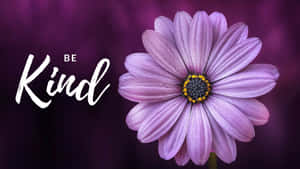 Be Kind And A Purple Flower Wallpaper