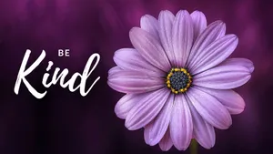 Be Kind And A Purple Flower Wallpaper