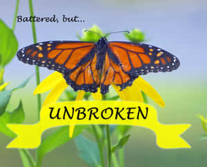 “be The Change You Wish To See In The World.” Wallpaper