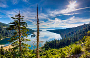 Be Treated To Raw Beauty And Adventure At Lake Tahoe Wallpaper