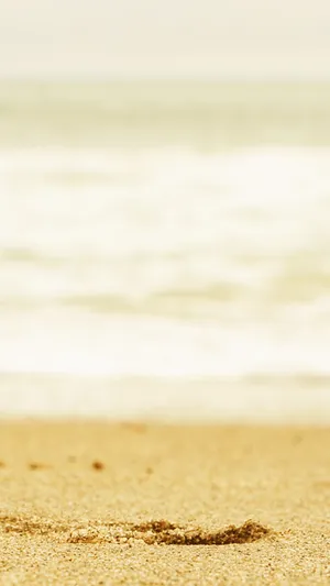 Beach 2160 X 3840 Wallpaper Wallpaper