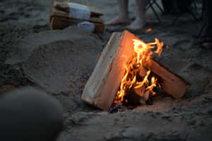 Beach Campfire Gathering Under A Moonlit Sky Wallpaper