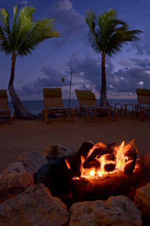 Beach Campfire Under The Stars Wallpaper